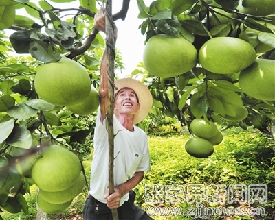 张家界最美的面孔（三）