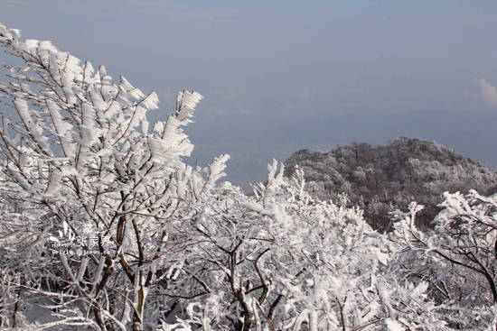 12.15张家界天门山冰雪奇景 丁云娟摄 (18).jpg