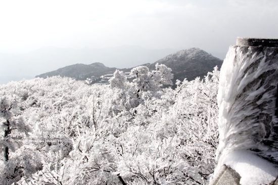 12.15张家界天门山冰雪奇景 丁云娟摄 (20).jpg