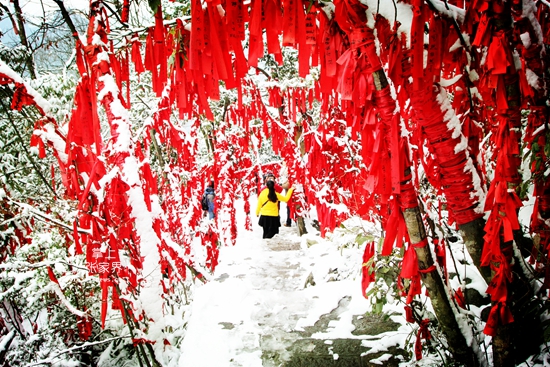 12.15张家界天门山冰雪奇景 丁云娟摄 (24).jpg