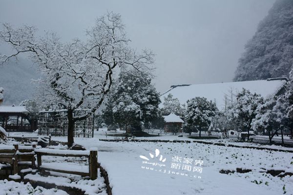 白雪皑皑田园间_副本.jpg