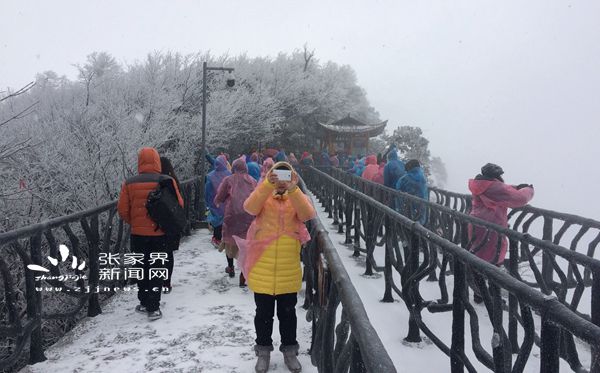 偶遇新春雪，游人欣喜不已 丁云娟摄_副本.jpg