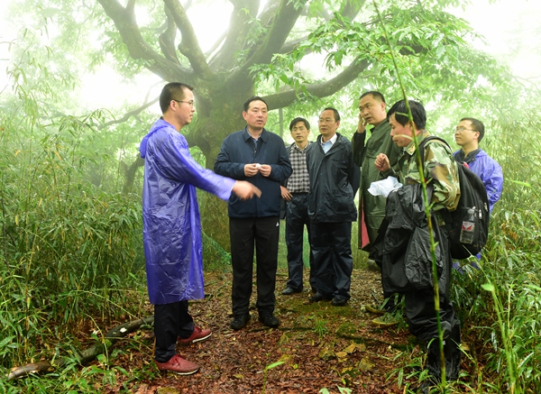 王市长图片资料·鲁承虎.JPG