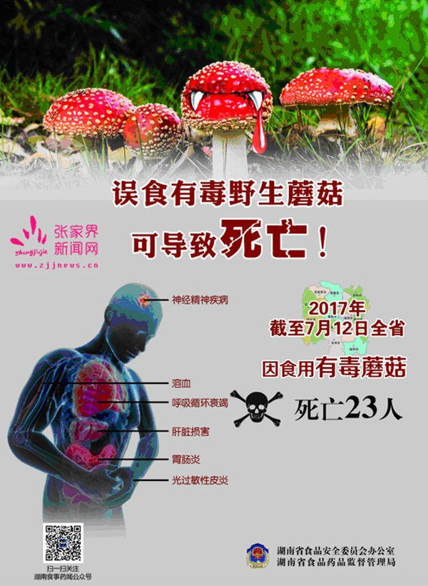 张家界市食药监局提醒:不要随意采食野生蘑菇,谨防中毒!