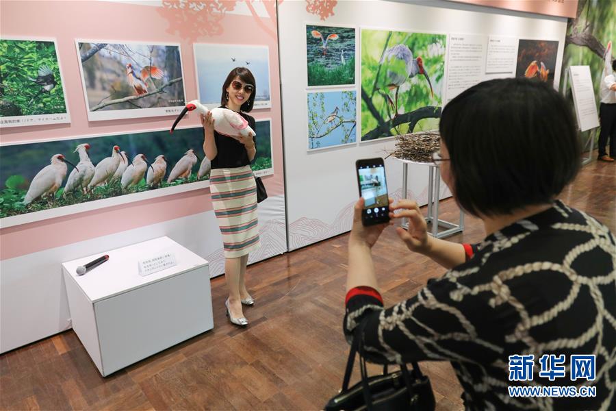 （国际）（4）中国－日本系列人文交流活动在大阪举行